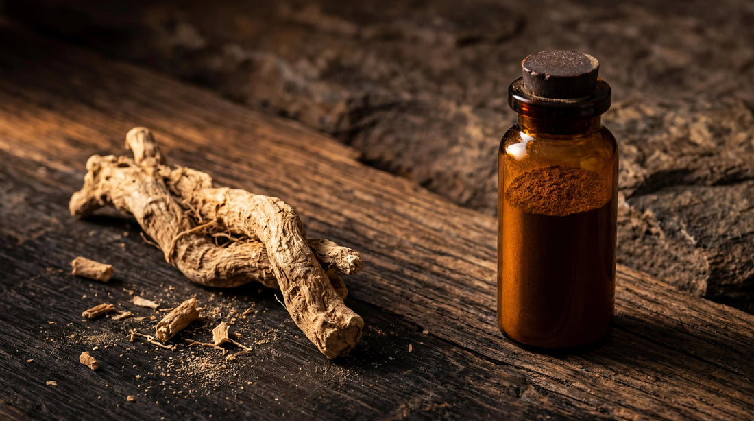 KSM-66 Ashwagandha: Why the Extract Matters More Than the Plant