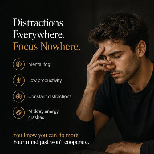 Stryō Focus · Energy Strips