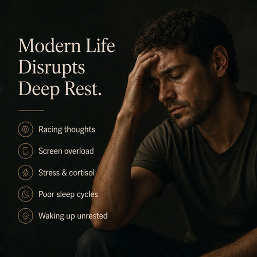 Stryō Zen · Sleep Strips