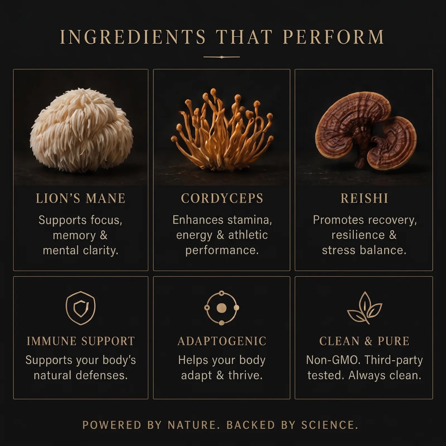 Stryō Core · Mushroom Focus Strips