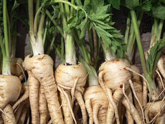 Maca Root Extract